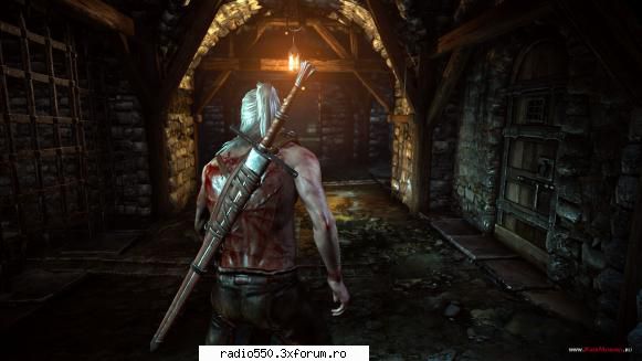 The Witcher 2 - fulger - Recomandari Joruri
